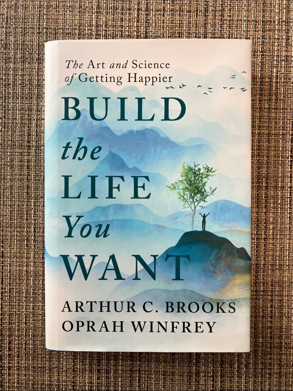 Build the Life You Want: The Art & Science of Getting Happier